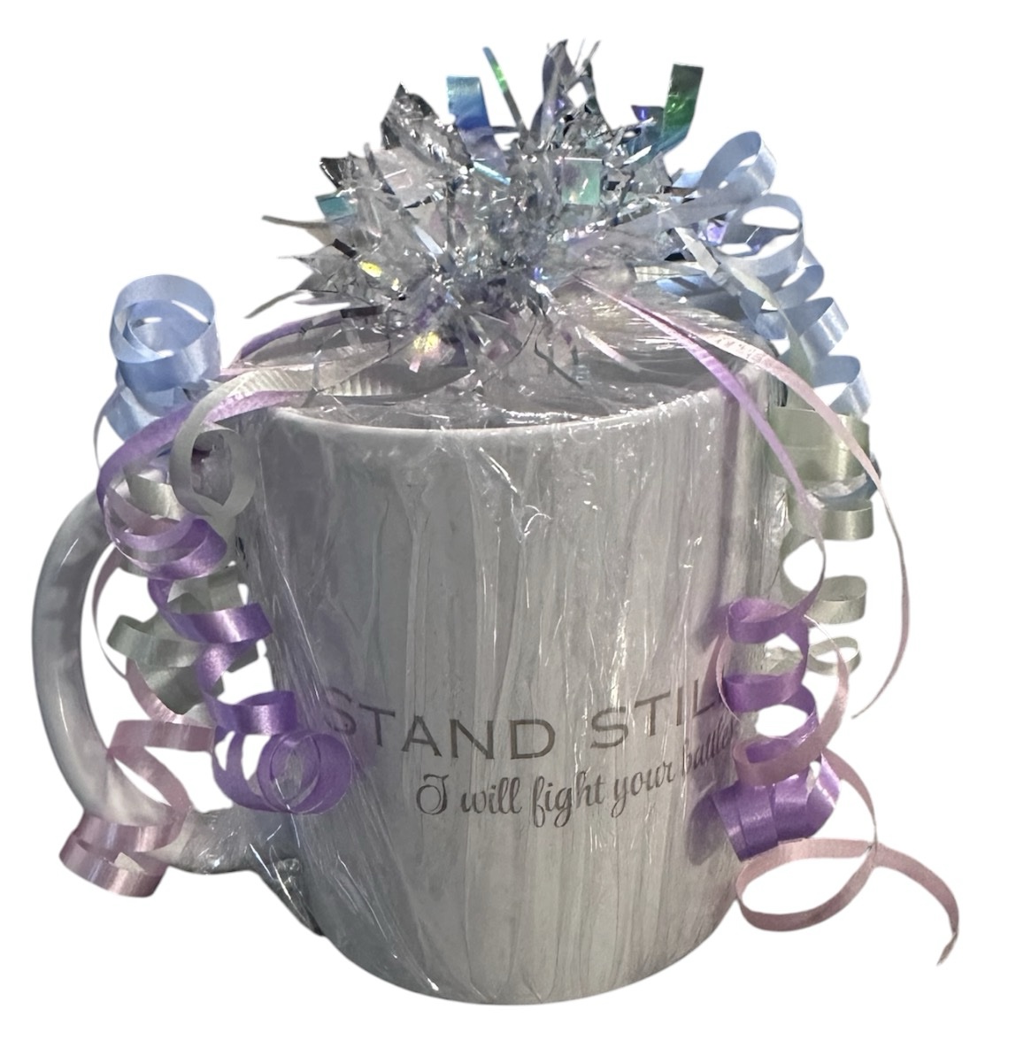 Stand Still I will fight your battles Mug Copy